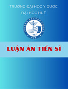 Luận án Tiến sĩ Y học: Nghiên cứu điều trị sỏi thận bằng nội soi thận ngược dòng sử dụng ống soi bán cứng