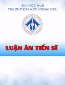 Luận án Tiến sĩ ngành Lý luận và phương pháp dạy học: Nghiên cứu thực hành giảng dạy của giảng viên Việt Nam và phân tích nhu cầu trong lĩnh vực tiếng Anh chuyên ngành Du lịch