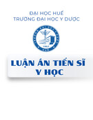 Luận án Tiến sĩ Y học: Nghiên cứu nồng độ periostin huyết thanh trong tiên lượng chức năng tim sau nhồi máu cơ tim cấp