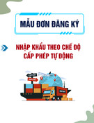 Mẫu Đơn đăng ký nhập khẩu theo chế độ cấp phép tự động