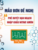 Mẫu Đơn đề nghị phê duyệt hạn ngạch nhập khẩu Nitrat amôn hàm lượng cao