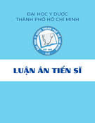 Luận án Tiến sĩ Y học: Nghiên cứu hiệu quả cắt dịch kính bóc màng giới hạn trong vạt ngược điều trị bong võng mạc do lỗ hoàng điểm trên cận thị nặng