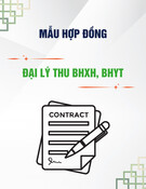 Mẫu Hợp đồng đại lý thu BHXH, BHYT và cung ứng dịch vụ công