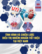 Bài giảng Tình hình và chiến lược điều trị nhiễm khuẩn tiết niệu tại Việt Nam - PGS.TS.BS Nguyễn Tuấn Vinh