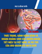 Bài giảng Thực trạng, gánh nặng bệnh và kháng kháng sinh của nhiễm khuẩn tiết niệu tại Việt nam, và vai trò của Uro-Vaxom với NKTN dưới - PGS.TS. Đỗ Gia Tuyển