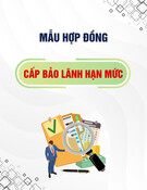 Mẫu Hợp đồng cấp bảo lãnh hạn mức