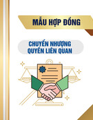 Mẫu Hợp đồng chuyển nhượng quyền liên quan