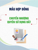 Mẫu Hợp đồng chuyển nhượng quyền sử dụng đất