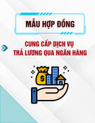 Mẫu Hợp đồng cung cấp dịch vụ trả lương qua ngân hàng