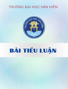 Bài tiểu luận Du lịch: Tìm hiểu về vấn nạn ùn tắc giao thông trên đường Âu Cơ ở quận Tân Phú, thành phố Hồ Chí Minh