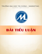Bài tiểu luận Quản trị kinh doanh: Quản trị công nghệ và chuyển đổi số