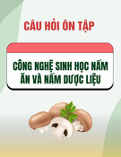 Câu hỏi ôn tập môn Công nghệ sinh học nấm ăn và nấm dược liệu