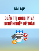 Bài tập Quản trị công ty và nghề nghiệp kế toán