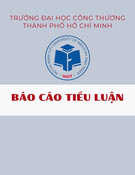 Báo cáo tiểu luận Công nghệ sản xuất sản phẩm thủy sản truyền thống: Trình bày kỹ thuật sản xuất tôm viên, các yếu tố ảnh hưởng chất lượng sản phẩm và đề xuất biện pháp khắc phục