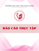 Báo cáo thực tập Quản trị Du lịch và Ngôn ngữ Quốc tế: Công ty TNHH Du lịch lữ hành Cánh Diều Vàng