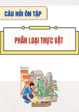 Câu hỏi ôn tập môn Phân loại thực vật