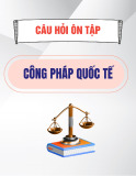Câu hỏi ôn tập môn Công pháp quốc tế