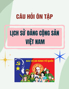 Câu hỏi ôn tập Lịch sử Đảng Cộng sản Việt Nam