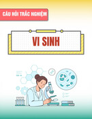 Câu hỏi trắc nghiệm ôn tập Vi sinh năm 2025 có đáp án