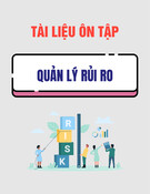 Tài liệu ôn tập Quản lý rủi ro