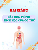 Bài giảng Các quá trình sinh học của cơ thể