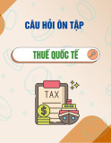 Câu hỏi ôn tập Thuế quốc tế