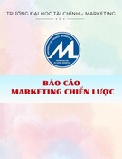 Báo cáo môn học Marketing chiến lược: Phân tích mô hình PEST - tác động của môi trường vĩ mô đến ngành máy lọc nước tại Việt Nam