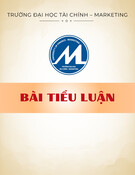 Bài tiểu luận Quản trị chuỗi cung ứng: Phân tích chuỗi cung ứng gạo xuất khẩu Việt Nam