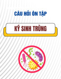 Câu hỏi ôn tập Ký sinh trùng