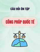 Câu hỏi ôn tập và vấn đề thảo luận môn Công pháp quốc tế