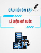 Câu hỏi ôn tập Lý luận nhà nước