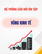 Hệ thống câu hỏi ôn tập Vùng kinh tế