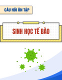 Câu hỏi ôn tập Sinh học tế bào