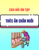 Câu hỏi ôn tập môn Thức ăn chăn nuôi