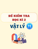 Đề thi học kì 2 môn Vật lý lớp 11 (Đề minh họa)