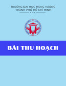 Bài thu hoạch: Khái Quát về vương quốc Chămpa