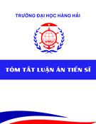 Tóm tắt luận án Tiến sĩ: Nghiên cứu tính toán hệ dây neo công trình biển nổi  đặt tại vùng biển Việt Nam