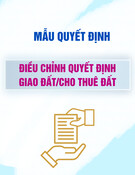 Mẫu Quyết định về việc điều chỉnh quyết định giao đất/cho thuê đất