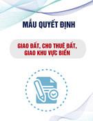 Mẫu Quyết định về việc giao đất, cho thuê đất, giao khu vực biển