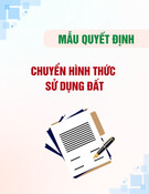 Mẫu Quyết định về việc chuyển hình thức sử dụng đất