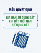 Mẫu Quyết định về việc gia hạn sử dụng đất khi hết thời hạn sử dụng đất