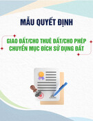 Mẫu Quyết định giao đất/cho thuê đất/cho phép chuyển mục đích sử dụng đất