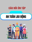 Câu hỏi ôn tập An toàn lao động