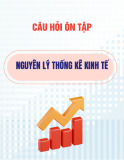 Câu hỏi ôn tập Nguyên lý thống kê kinh tế