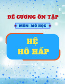 Đề cương ôn tập môn Mô học: Hệ hô hấp (Có đáp án)