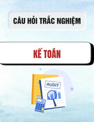 Nội dung câu hỏi trắc nghiệm Kế toán