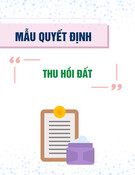 Mẫu Quyết định thu hồi đất