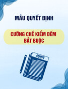 Mẫu Quyết định cưỡng chế kiểm đếm bắt buộc