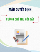 Mẫu Quyết định cưỡng chế thu hồi đất