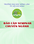 Báo cáo seminar chuyên ngành: Công nghệ lên men trong sản xuất rượu, bia và nước trái cây